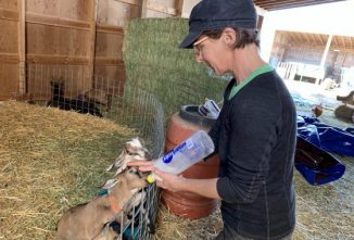 Fraga Farmstead and Creamery